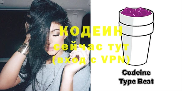индика Инсар