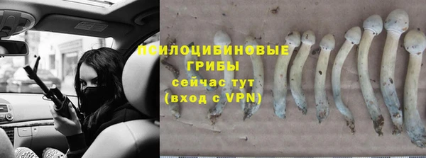 индика Инсар