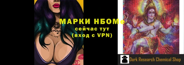 PSILOCYBIN Инта