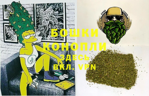индика Инсар