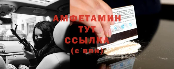 индика Инсар