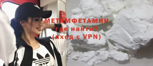 индика Инсар