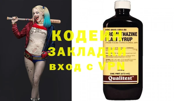индика Инсар