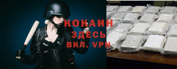 индика Инсар