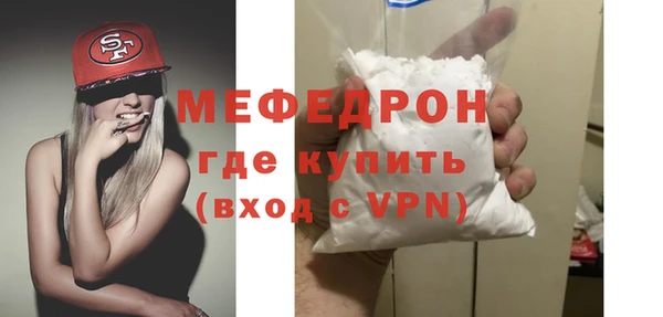 индика Инсар