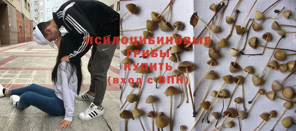 PSILOCYBIN Инта