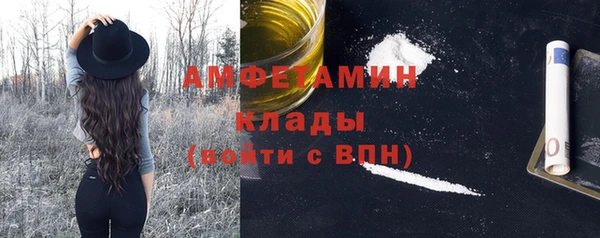 индика Инсар