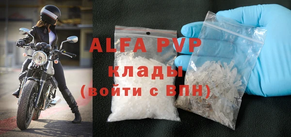 индика Инсар