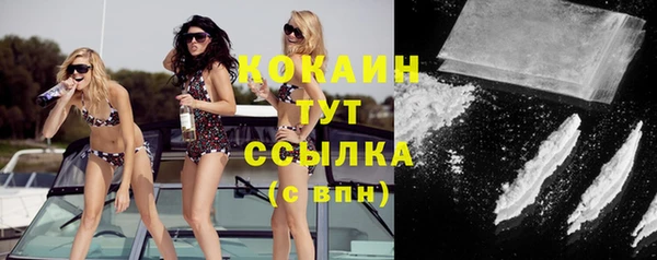 индика Инсар