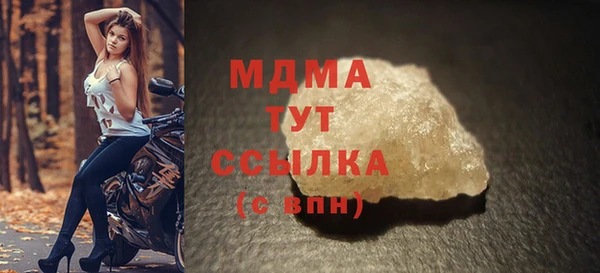 индика Инсар