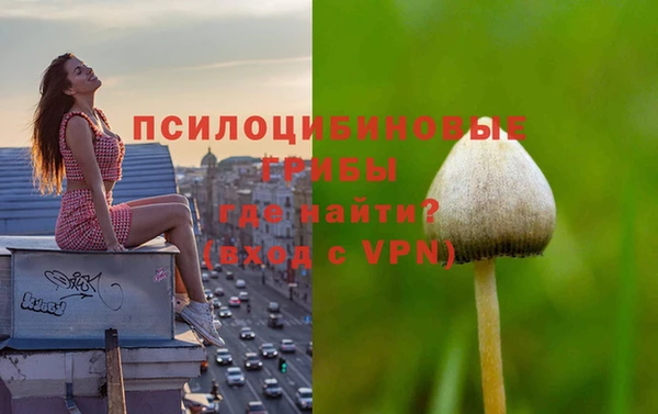 индика Инсар