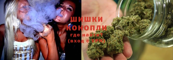 PSILOCYBIN Инта