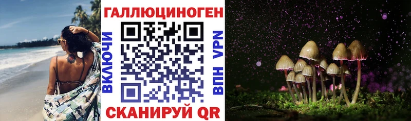 Псилоцибиновые грибы мицелий  Купить закладки  Белая Холуница 